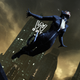 Illustration for article titled Batman: Arkham City: The Kotaku Review